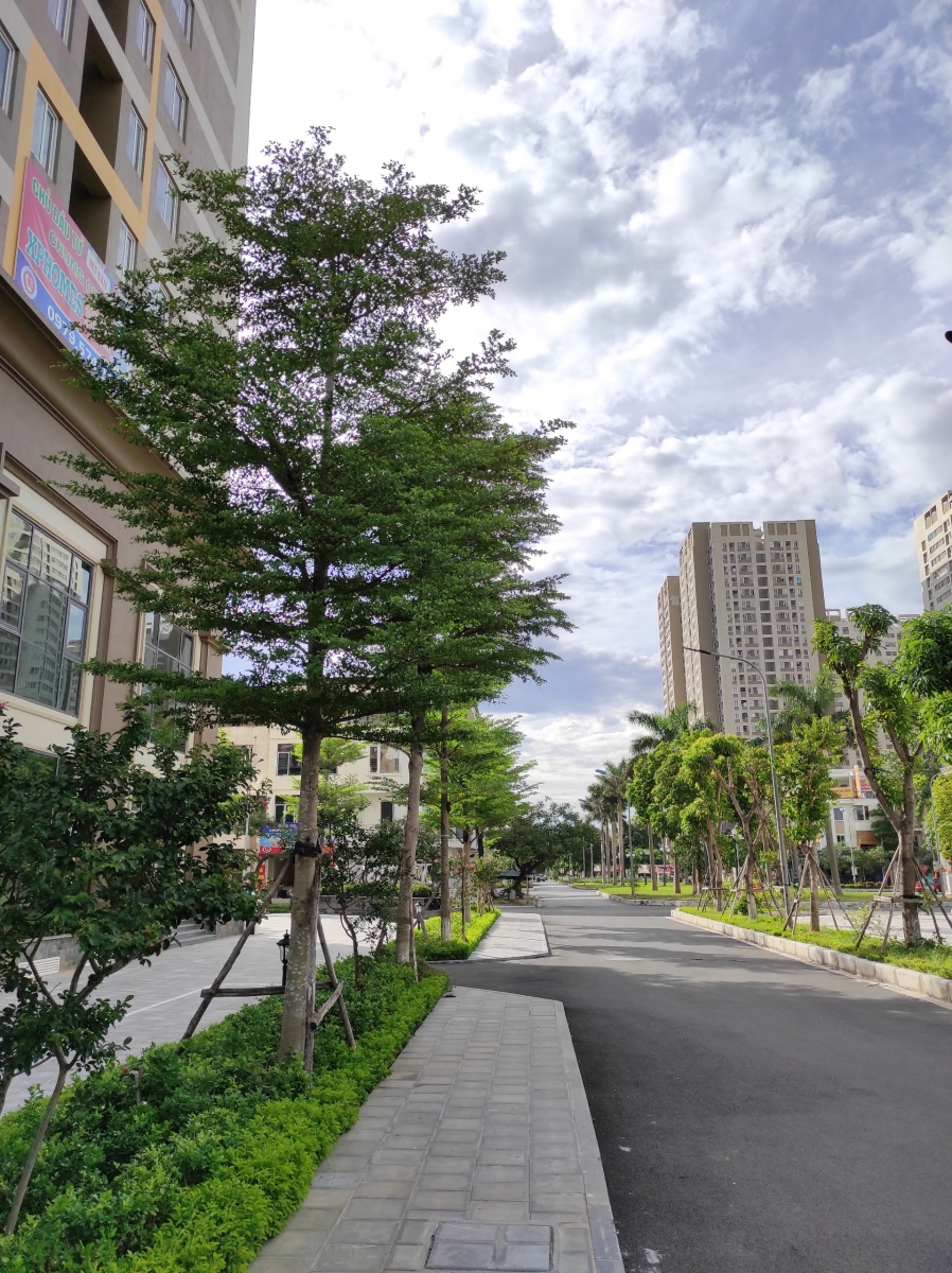 CHUNG CƯ XPHOMES STAR - KHU ĐÔ THỊ TÂN TÂY ĐÔ