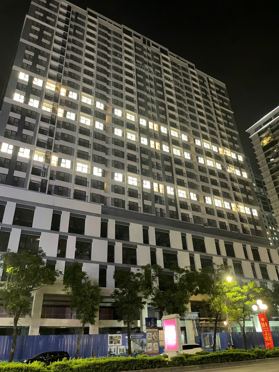 HANDICO LÊ VĂN LƯƠNG