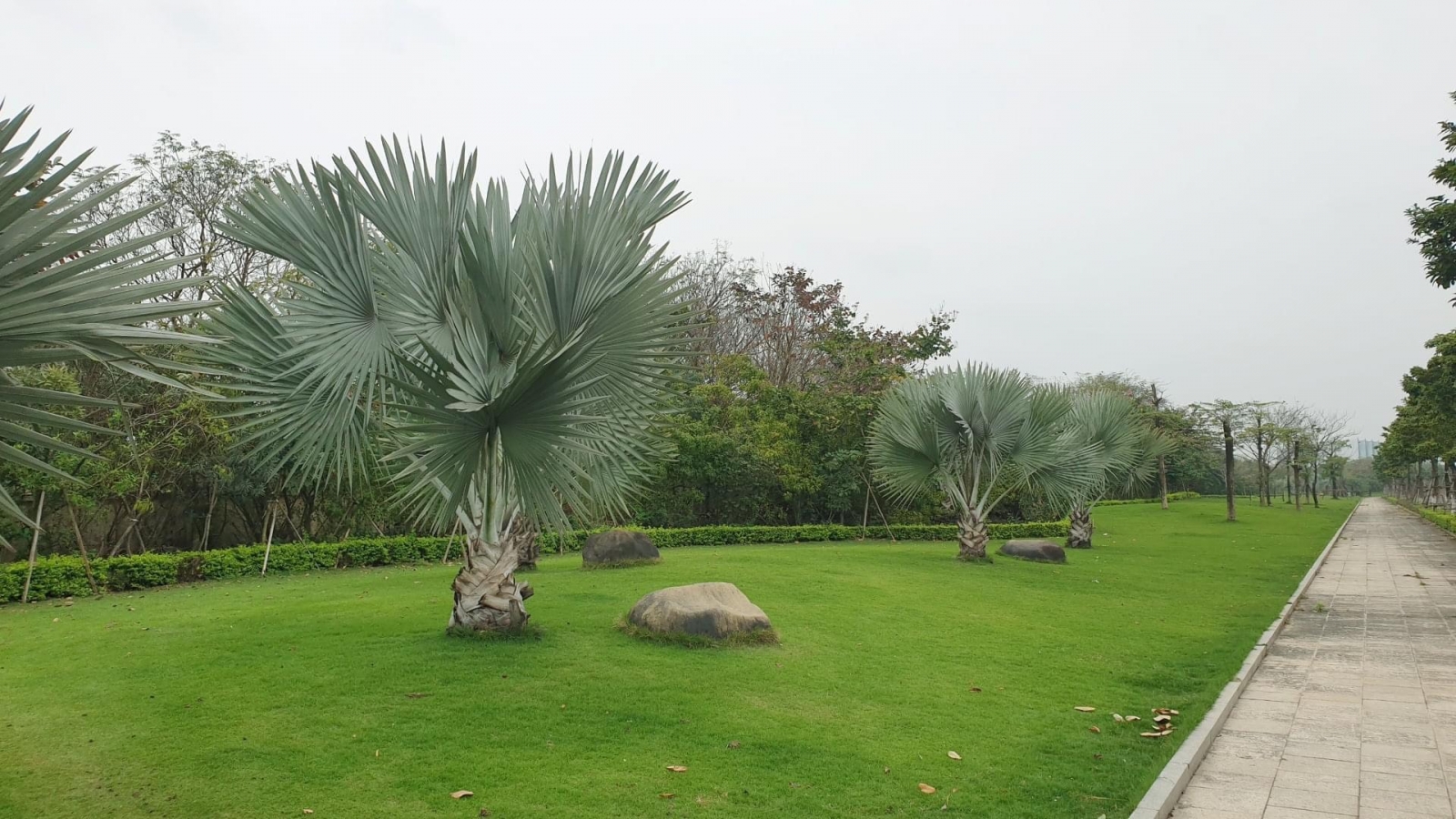 Dự án Him Lam Vĩnh Tuy