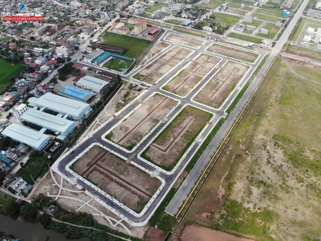 Trái Diêm 3 Tiền Hải - Thái Bình