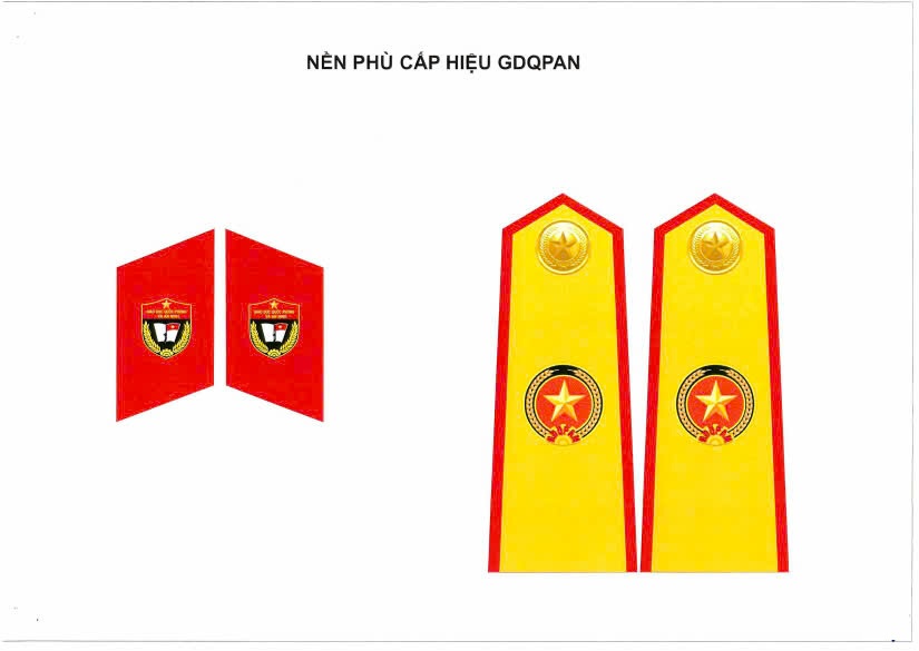 Cầu vai Giảng viên Giáo viên giáo dục quốc phòng và an ninh