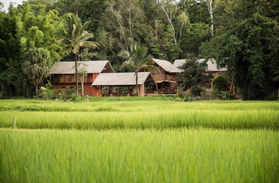 Xu hướng bỏ phố về quê