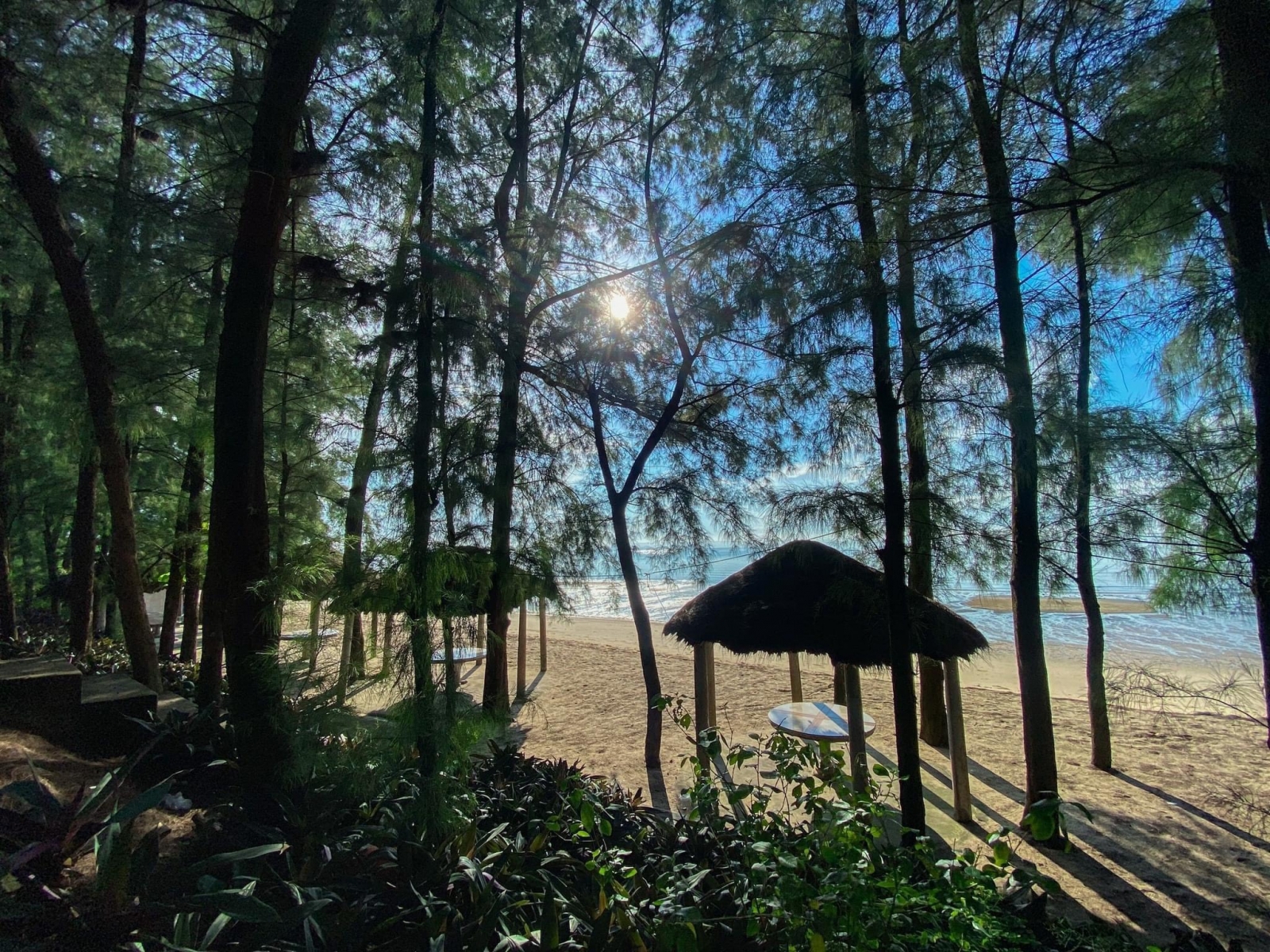 Bãi biển đá đen Móng cái