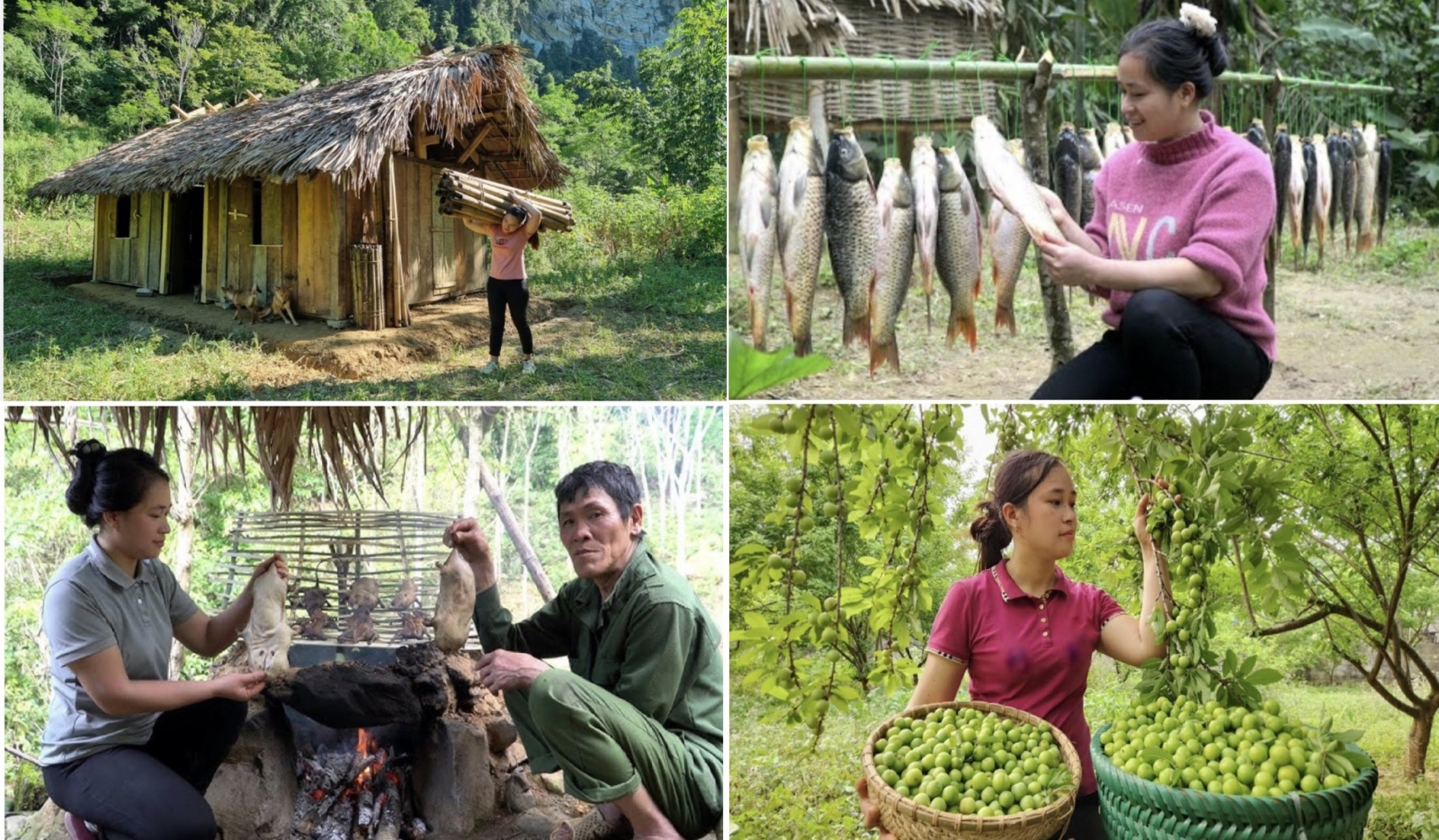 Lý Thị Ca quê Tuyên Quang Việt Nam