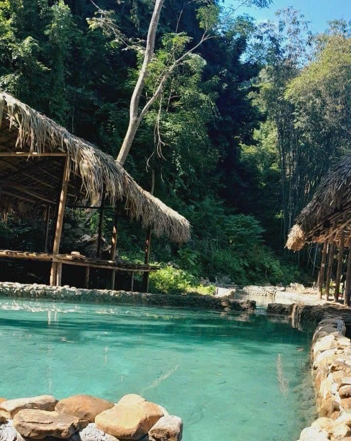 di chuyển tới suối nước nóng bò ấm