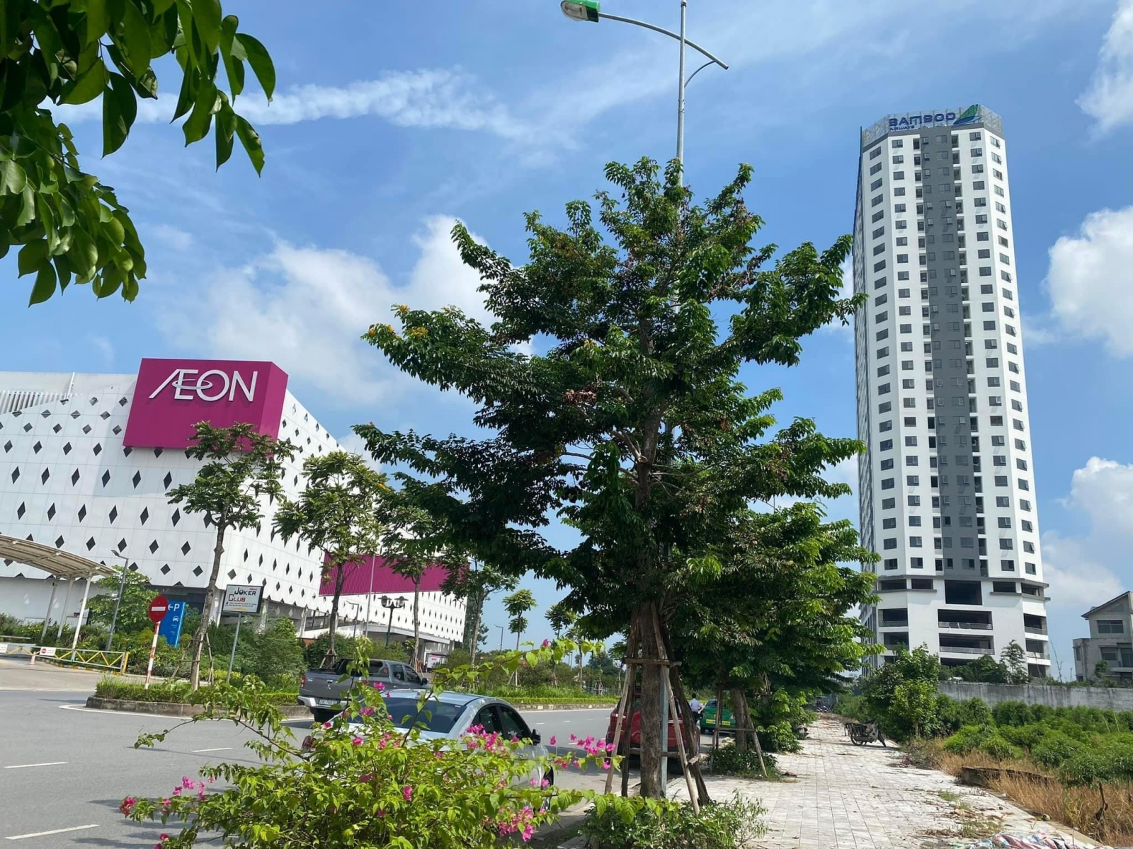 Bamboo airways đại mỗ