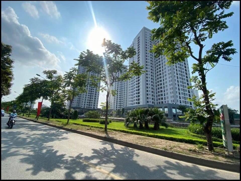 chung chung x2 đại kim MHDI