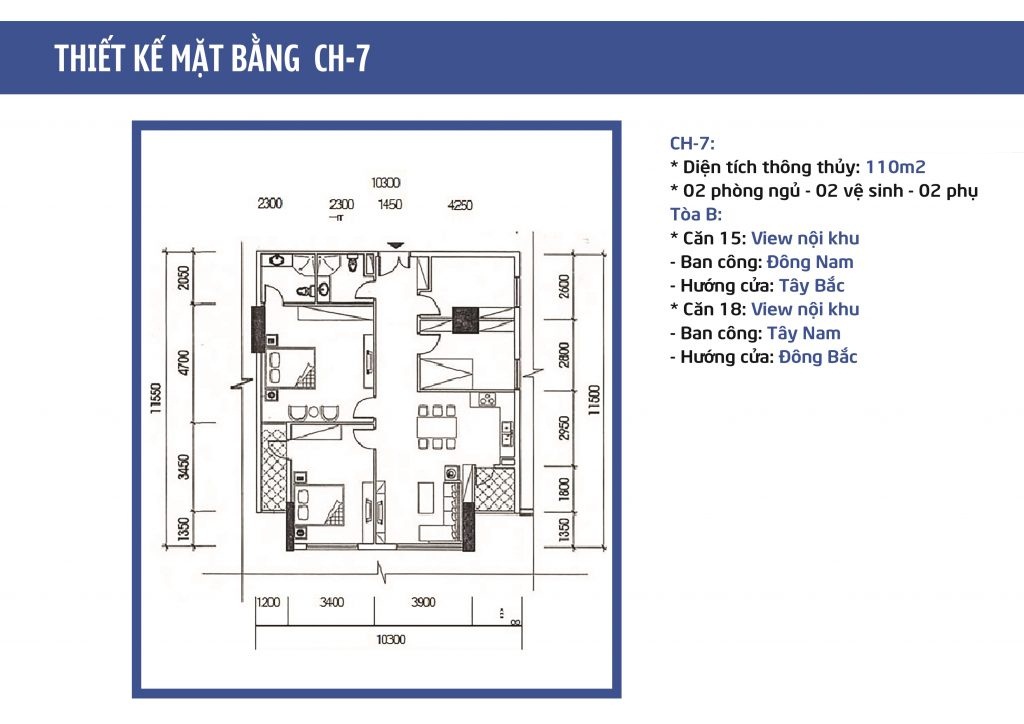 IA20 Ciputra, IA20 Ciputra Hà Nội,