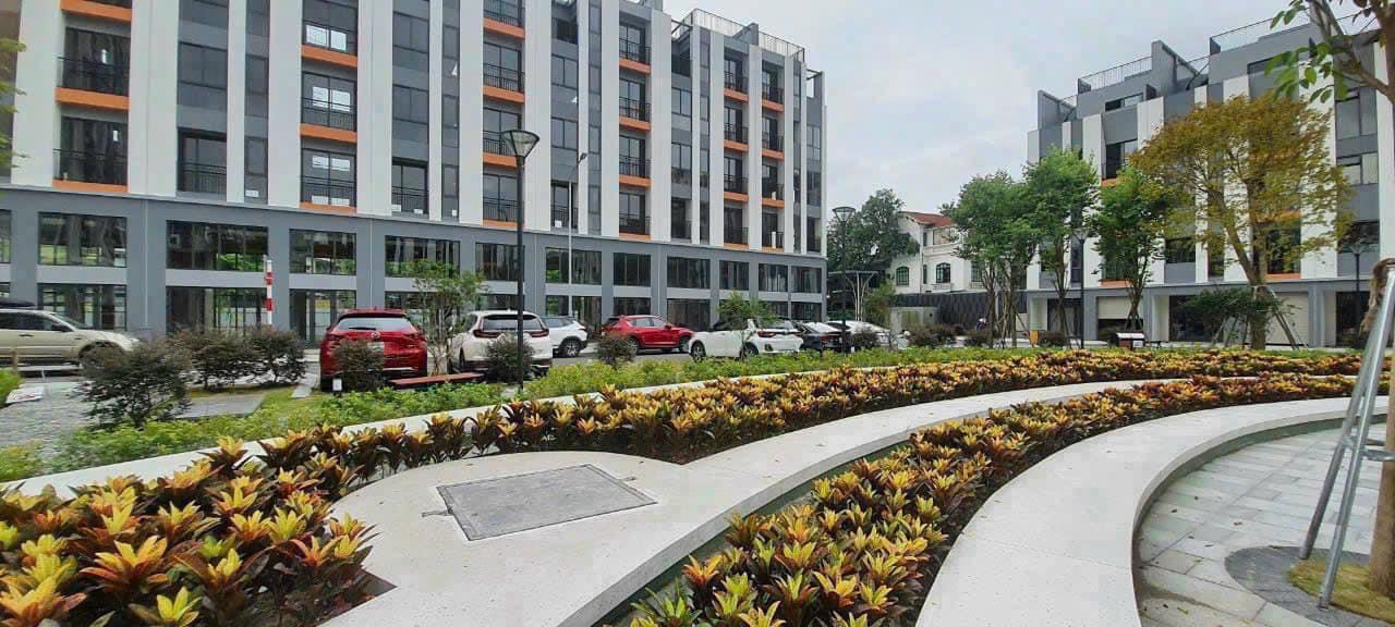 vườn hoa chung cư hoàng thành pearl hình ảnh