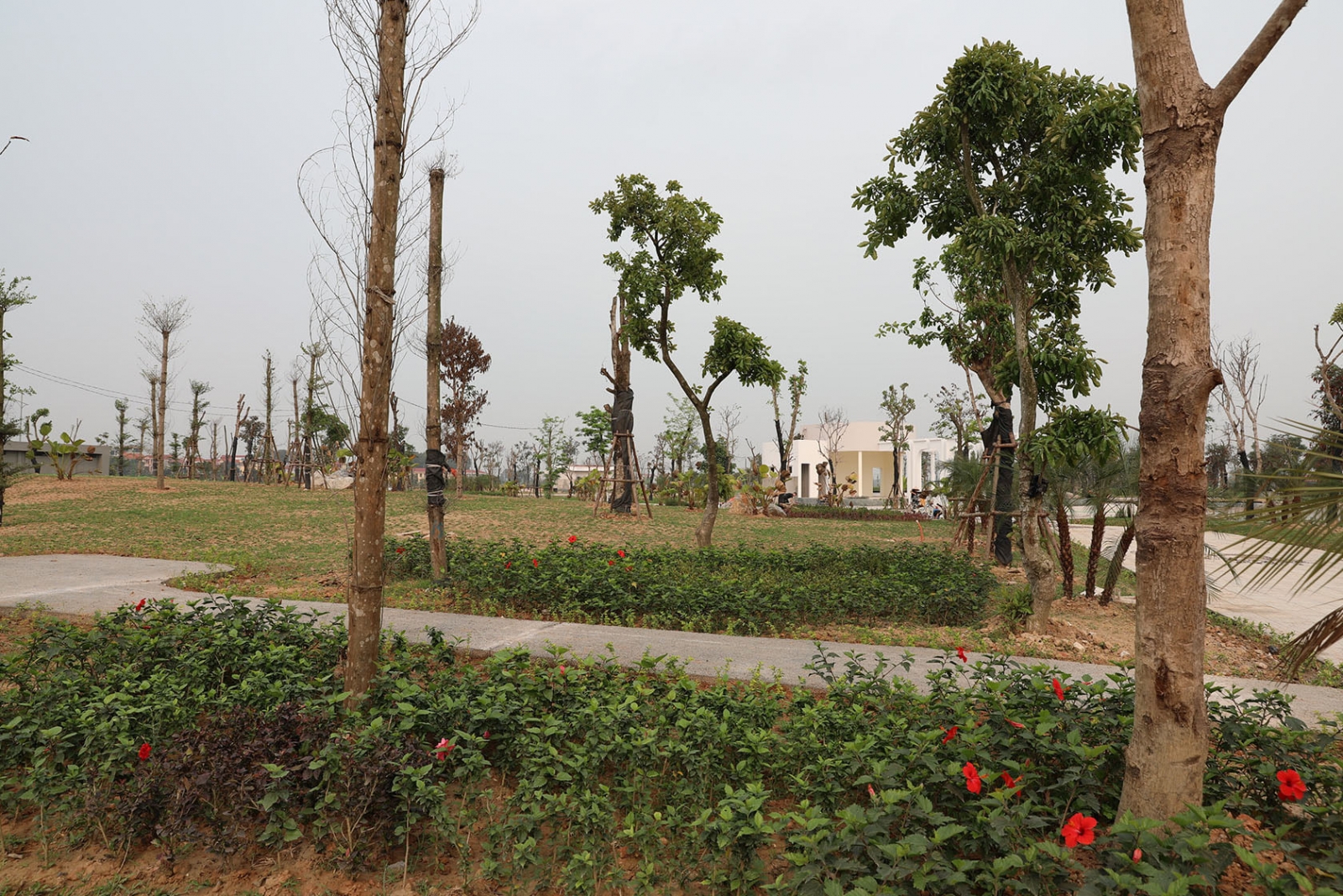 Dự án HUD Mê Linh, HUD Mê Linh,