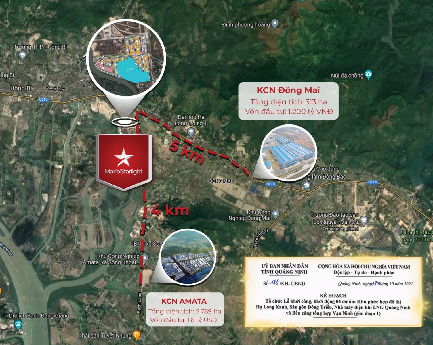 vị trí Mario Starlight