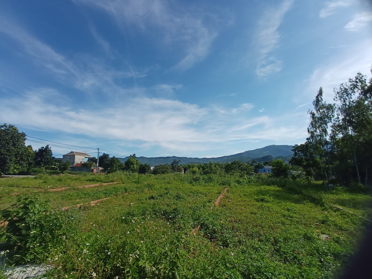 đất nền đầu tư