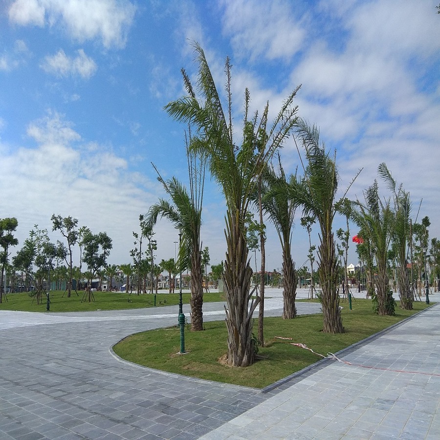 dự án Tây Nam Sách 