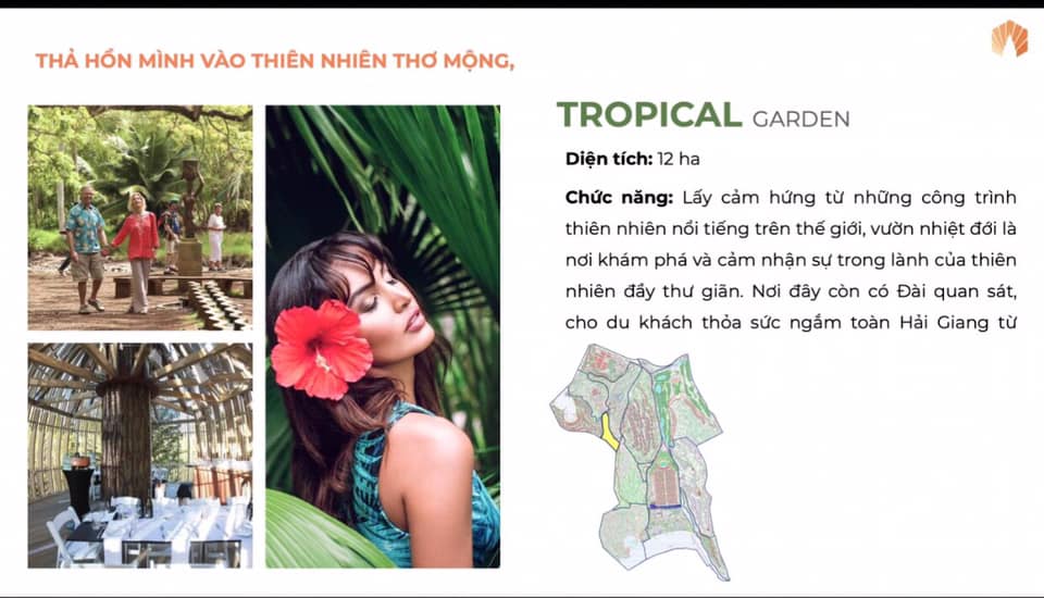 thiết kế phân khu hải giang merry land quy nhơn