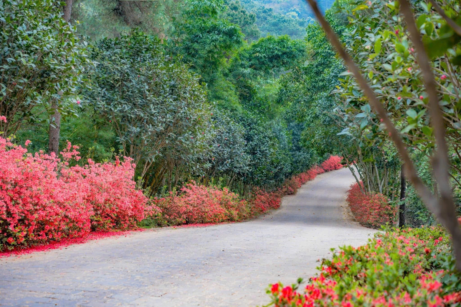 Thung Lũng Thanh Xuân Valley tiện ích
