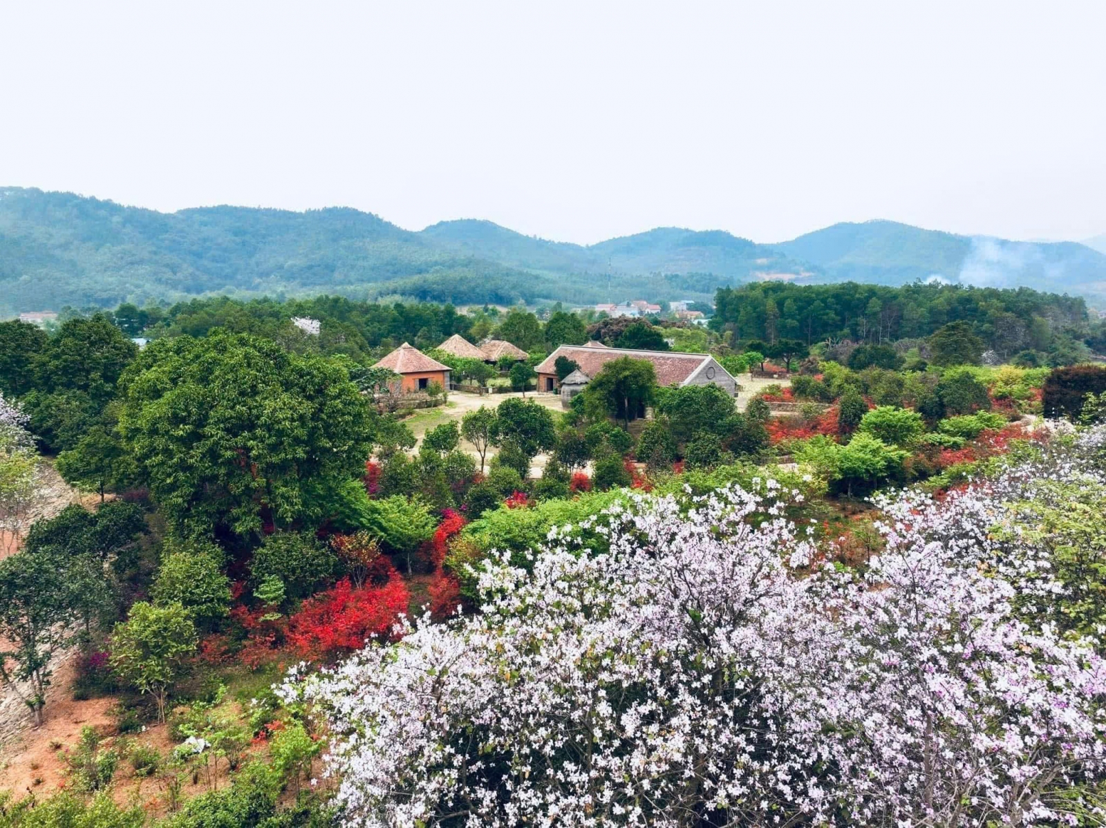 Thung Lũng Thanh Xuân Valley rừng hoa