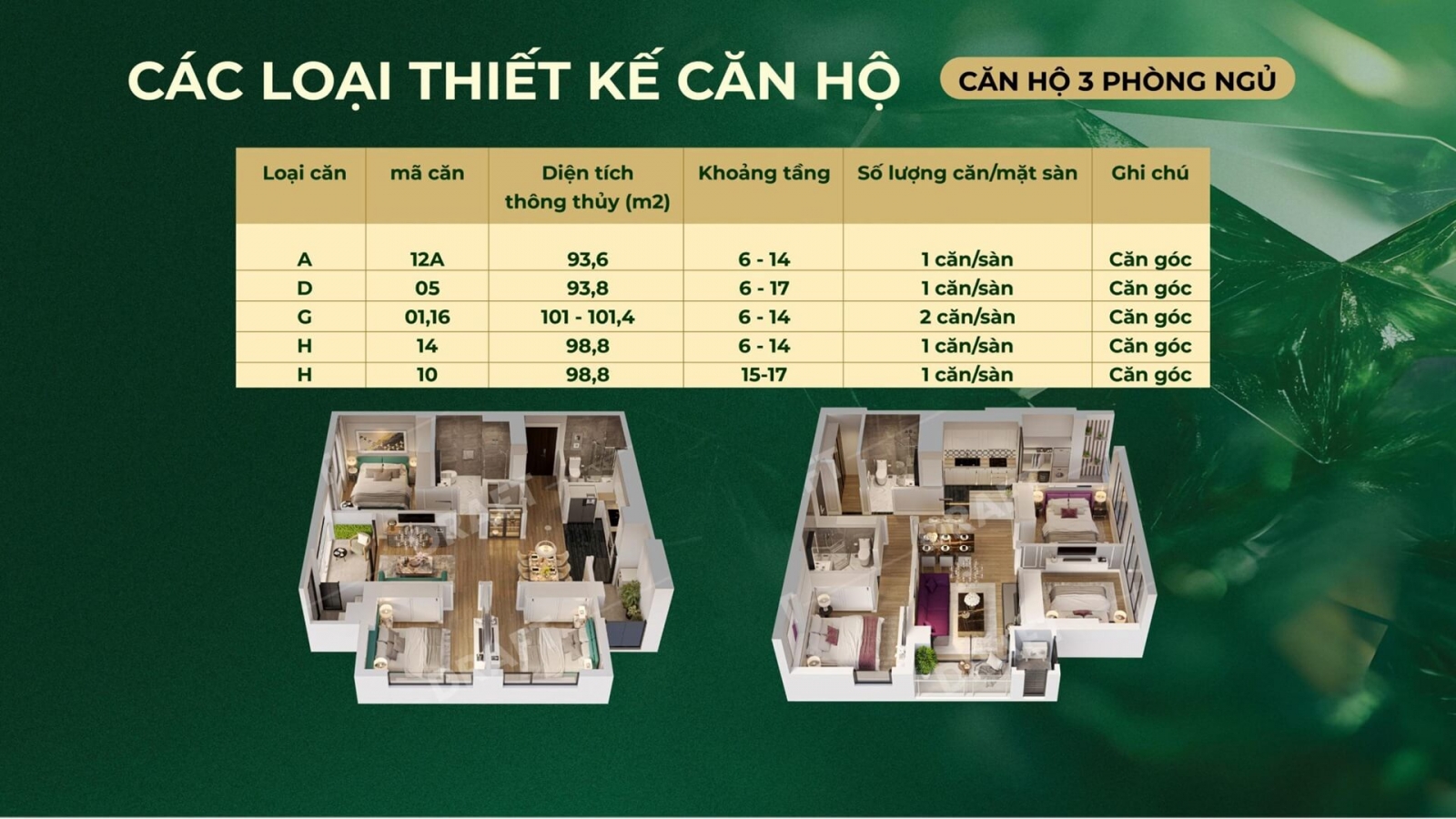 Mặt Bằng căn hộ Northern Emerald Long Biên